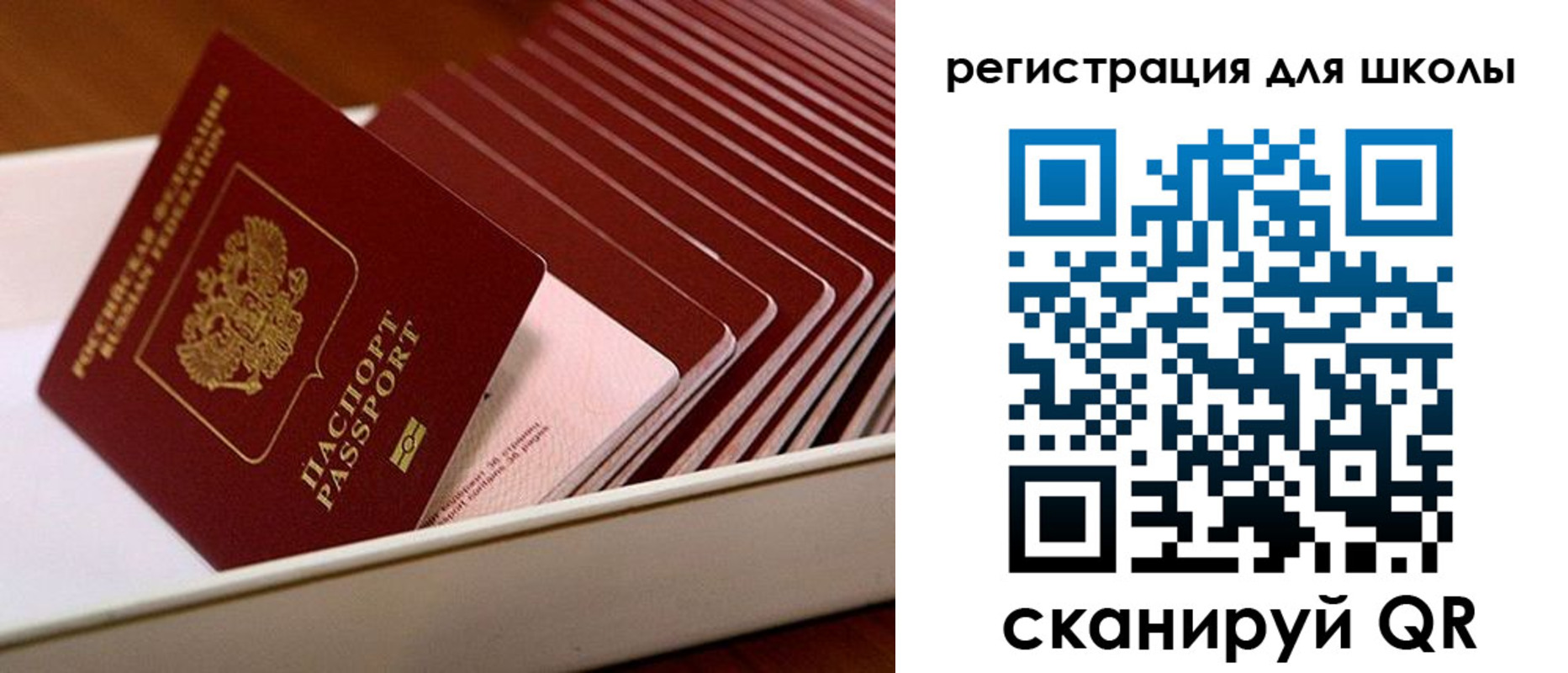 прописка гарантия в Коркино